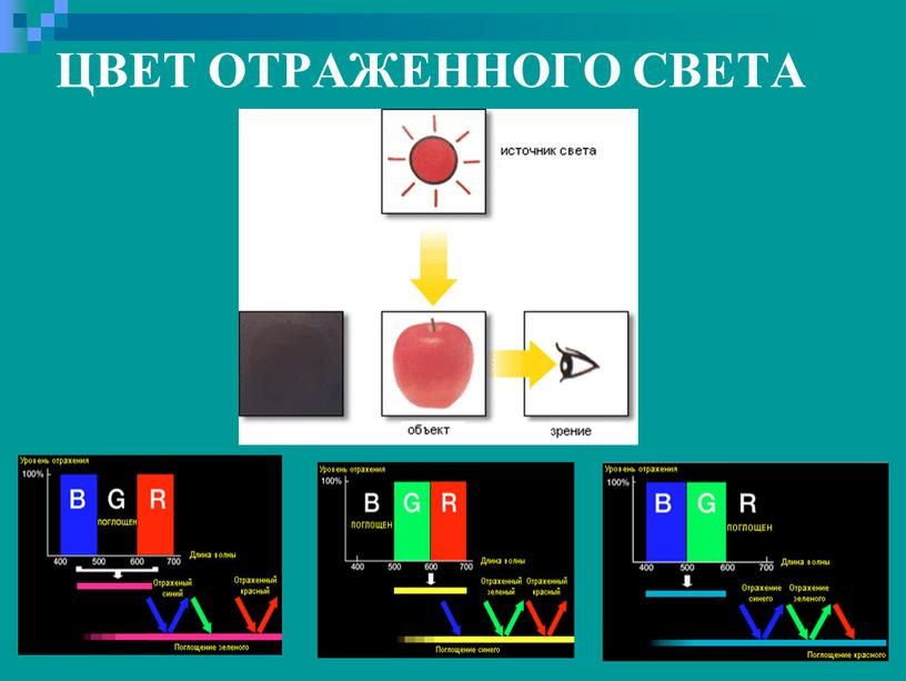 ЦВЕТ ОТРАЖЕННОГО СВЕТА