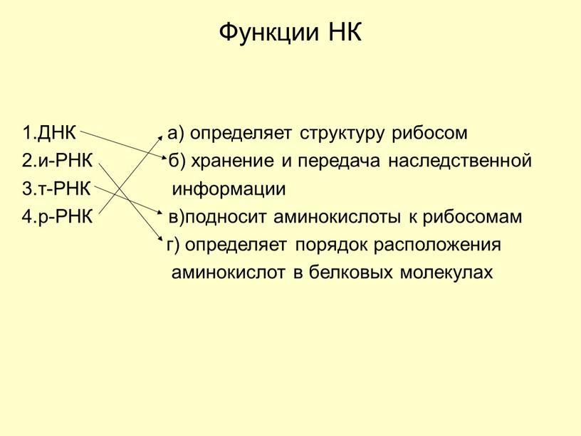 Функции НК 1.ДНК а) определяет структуру рибосом 2