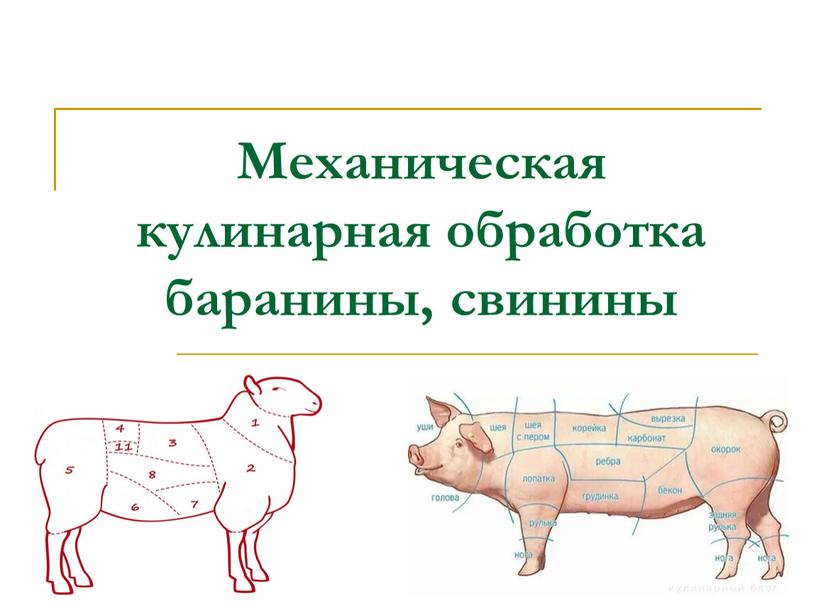 Механическая кулинарная обработка баранины, свинины