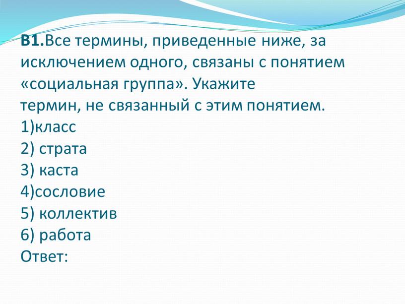 В1. Все термины, приведенные ниже, за исключением одного, связаны с понятием «социальная группа»