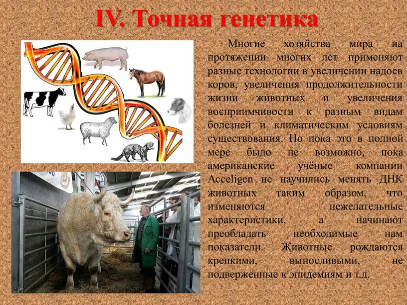 IV. Точная генетика Многие хозяйства мира на протяжении многих лет применяют разные технологии в увеличении надоев коров, увеличения продолжительности жизни животных и увеличения восприимчивости к…