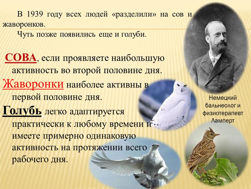 СОВА , если проявляете наибольшую активность во второй половине дня