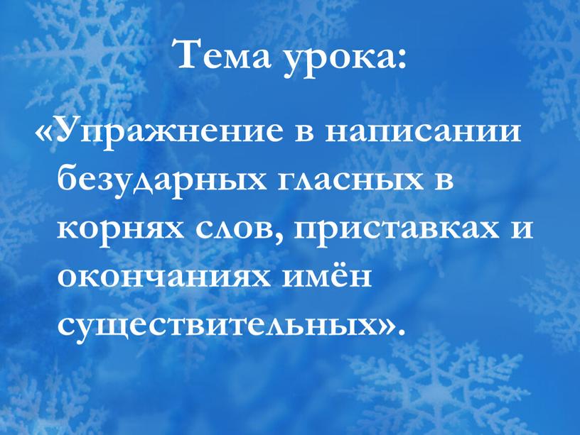 Тема урока: «Упражнение в написании безударных гласных в корнях слов, приставках и окончаниях имён существительных»