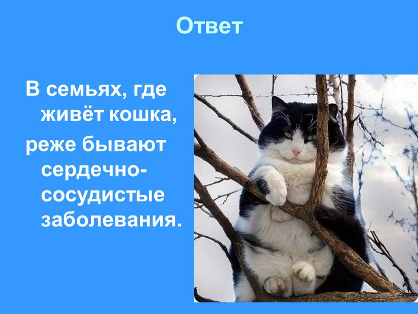 Ответ В семьях, где живёт кошка, реже бывают сердечно-сосудистые заболевания