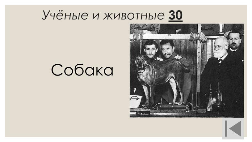 Учёные и животные 30 Собака