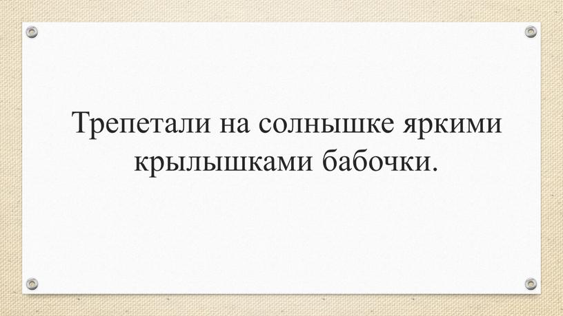 Трепетали на солнышке яркими крылышками бабочки