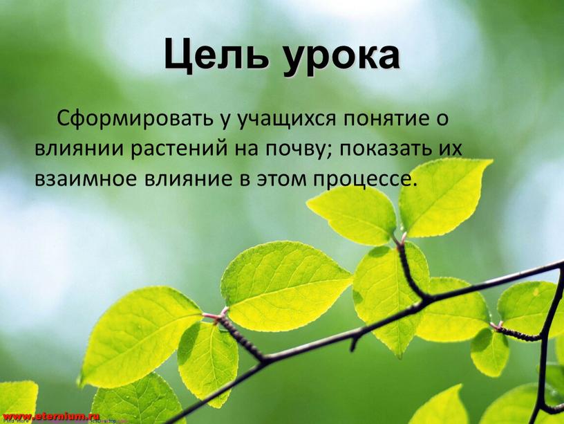 Цель урока Сформировать у учащихся понятие о влиянии растений на почву; показать их взаимное влияние в этом процессе