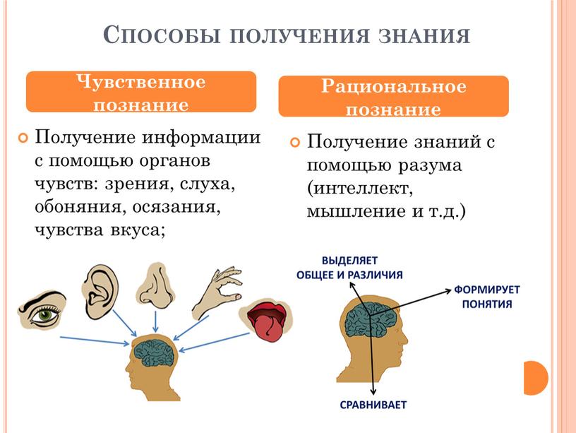 Способы получения знания Получение информации с помощью органов чувств: зрения, слуха, обоняния, осязания, чувства вкуса;