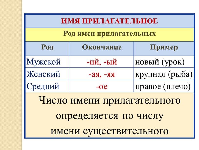 ИМЯ ПРИЛАГАТЕЛЬНОЕ Род имен прилагательных