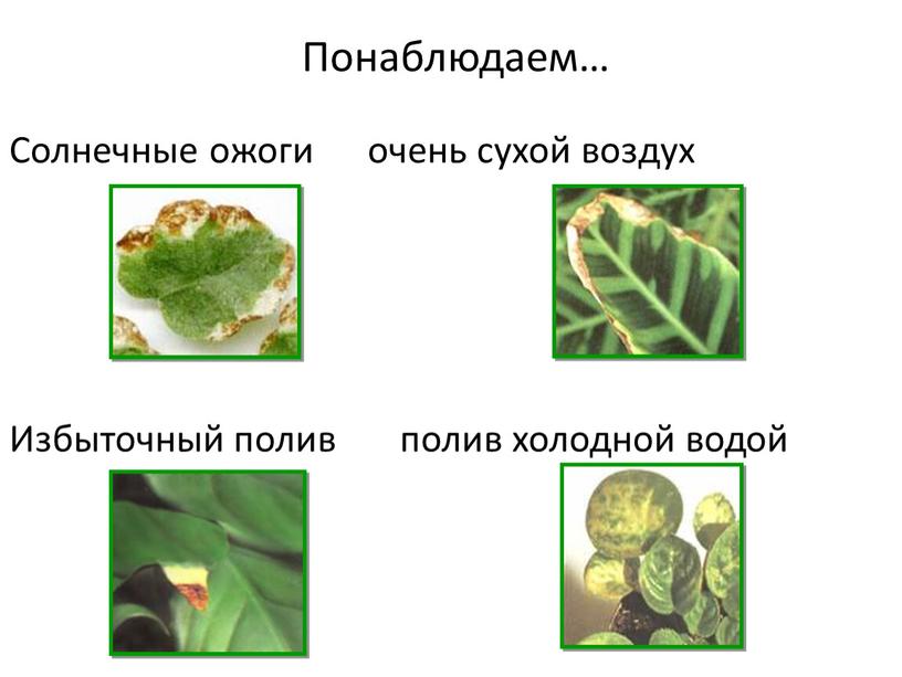 Понаблюдаем… Солнечные ожоги очень сухой воздух