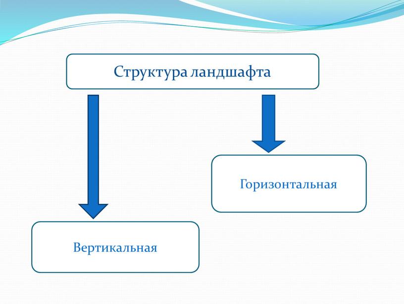 Структура ландшафта Вертикальная