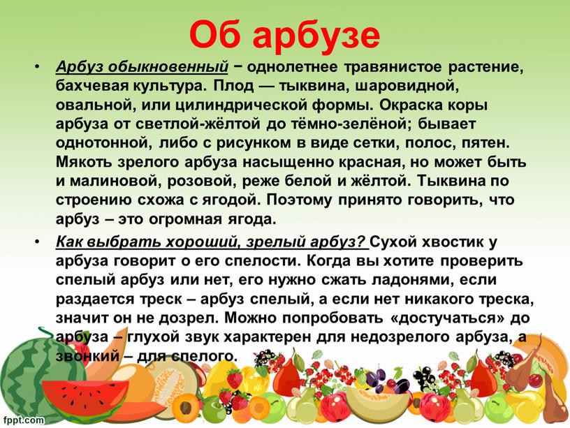 Об арбузе Арбуз обыкновенный − однолетнее травянистое растение, бахчевая культура