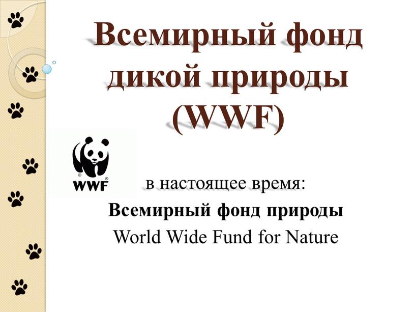 Всемирный фонд дикой природы (WWF) в настоящее время: