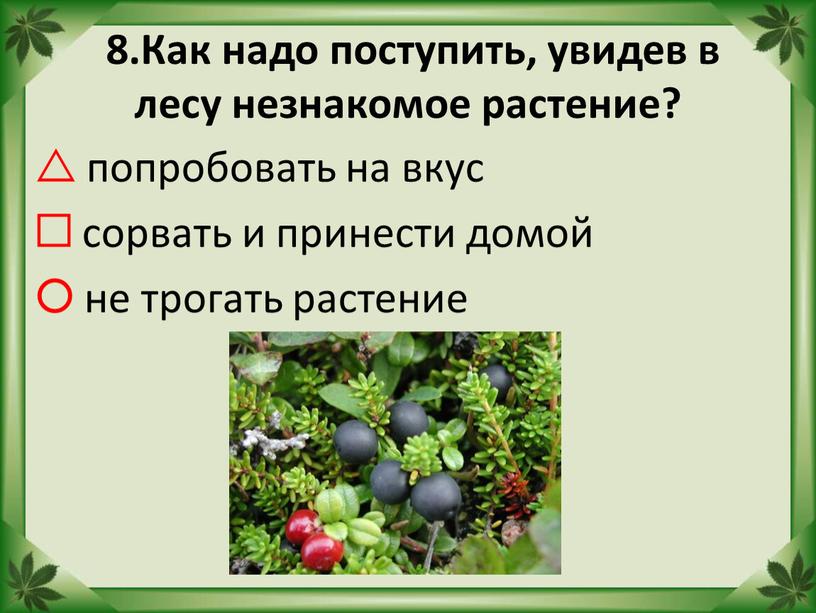 Как надо поступить, увидев в лесу незнакомое растение?  попробовать на вкус  сорвать и принести домой  не трогать растение