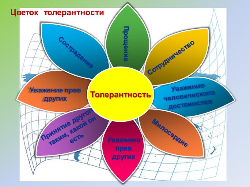 Сотрудничество Прощение Цветок толерантности