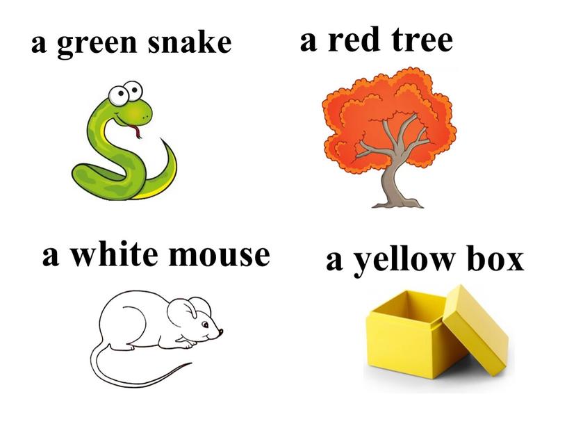 a green snake a white mouse a red tree a yellow box