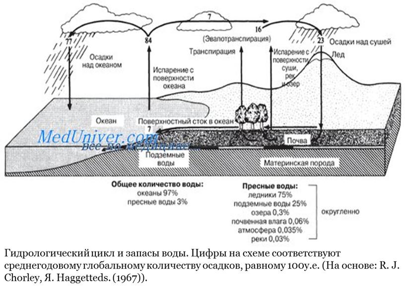 Гидрологический цикл и запасы воды