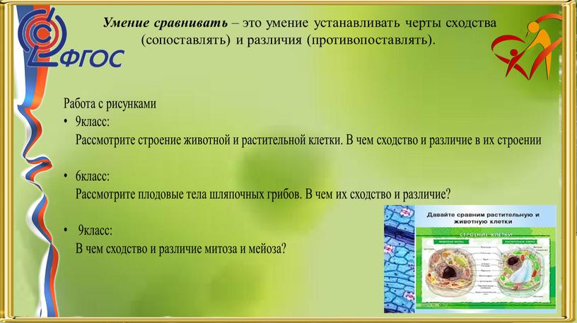 Умение сравнивать – это умение устанавливать черты сходства (сопоставлять) и различия (противопоставлять)