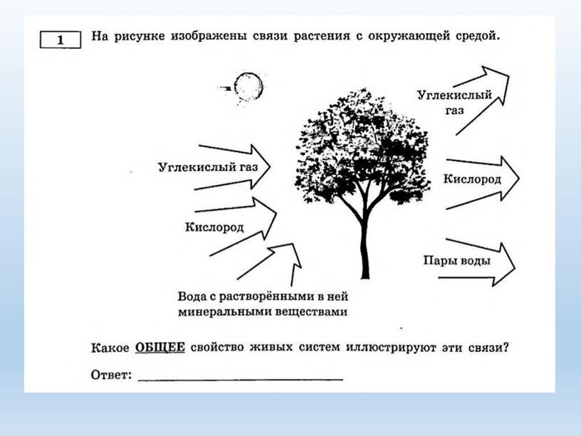 Разбор заданий №1 ОГЭ биология из сборника В.С.Рохлова