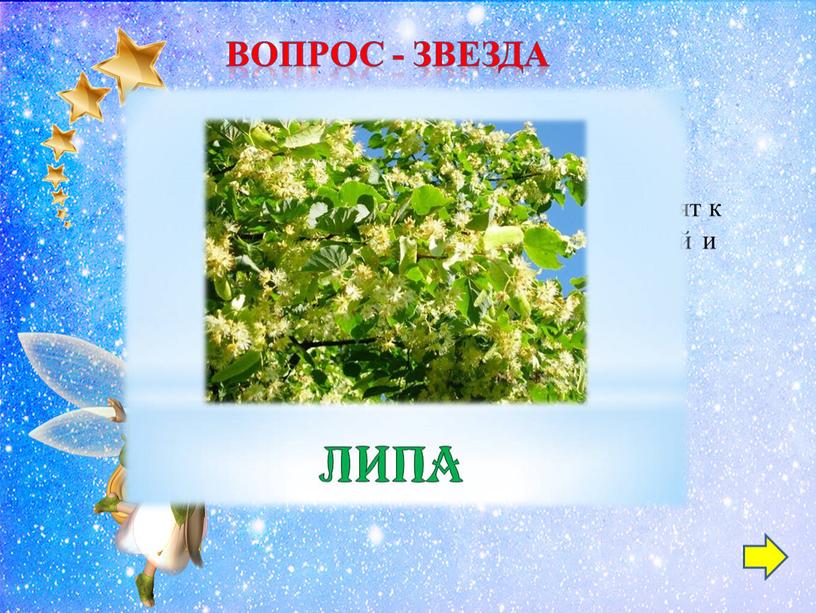 ВОПРОС - звезда Древние славяне посвящали это дерево богине