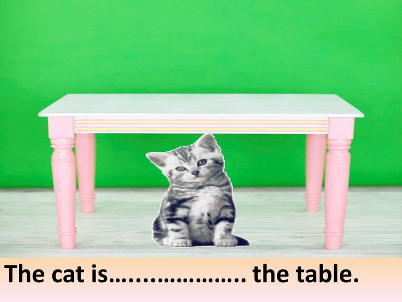 The cat is…....………….. the table