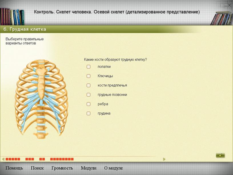 Методы развития познавательной деятельности учащихся