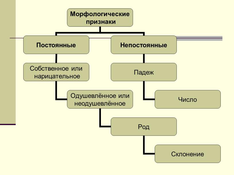 Презентация к уроку русского языка по теме "Имя существительное" 4 класс