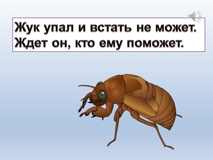 Жук упал и встать не может. Ждет он, кто ему поможет