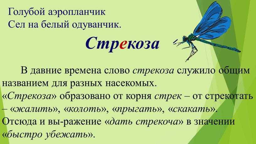 Текст стрекоза. Голубой аэропланчик сел на белый одуванчик. Голубой аэропланчик сел на белый одуванчик отгадка. Голубой аэропланчик сел. Слово Стрекоза.