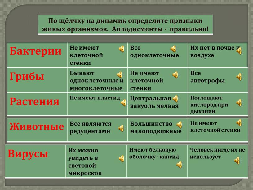 Бактерии Не имеют клеточной стенки