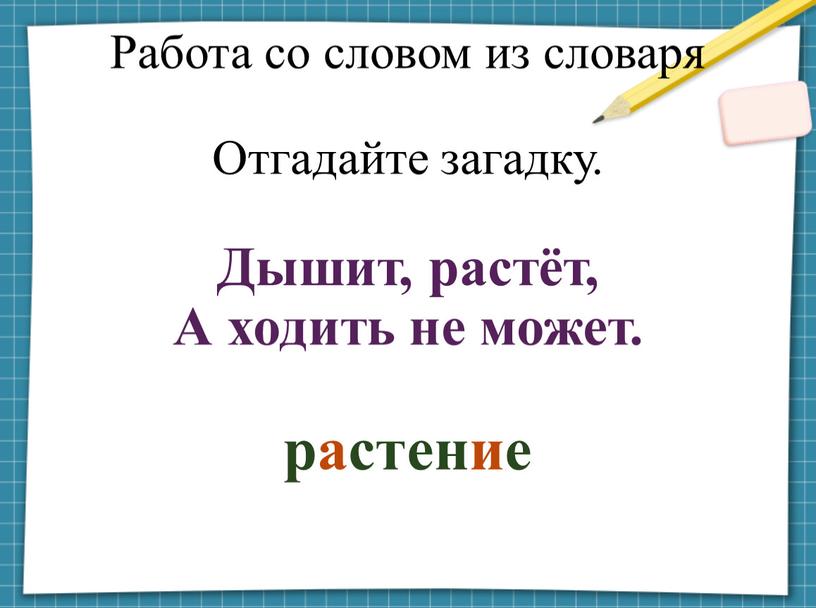 Работа со словом из словаря Отгадайте загадку