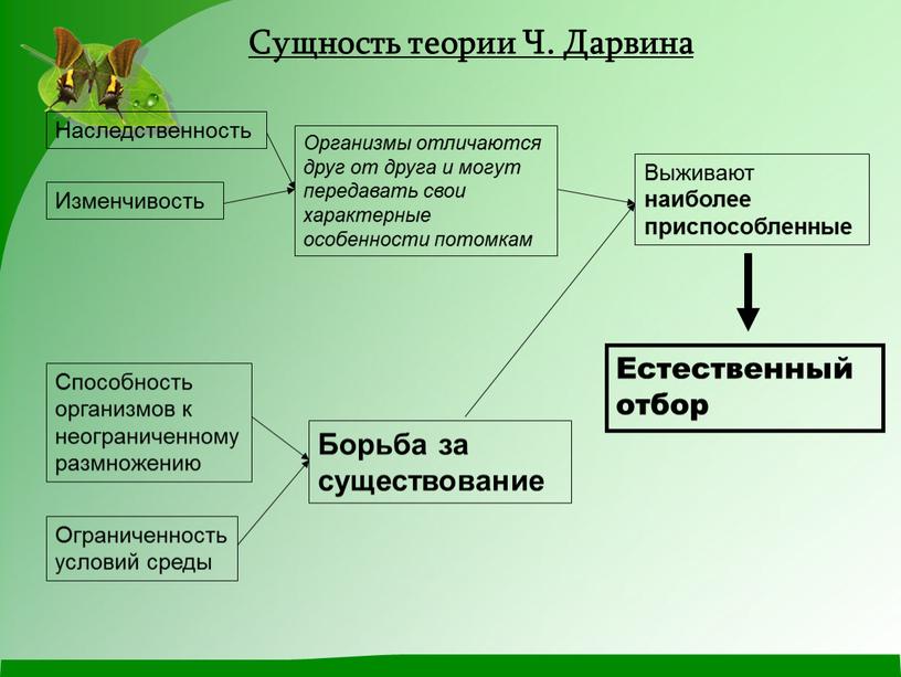 Наследственность Изменчивость Способность организмов к неограниченному размножению