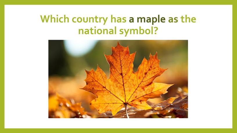 Which country has a maple as the national symbol?