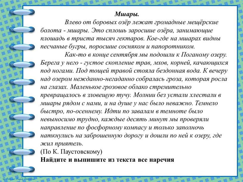 Мшары. Влево от боровых озёр лежат громадные мещёрские болота - мшары