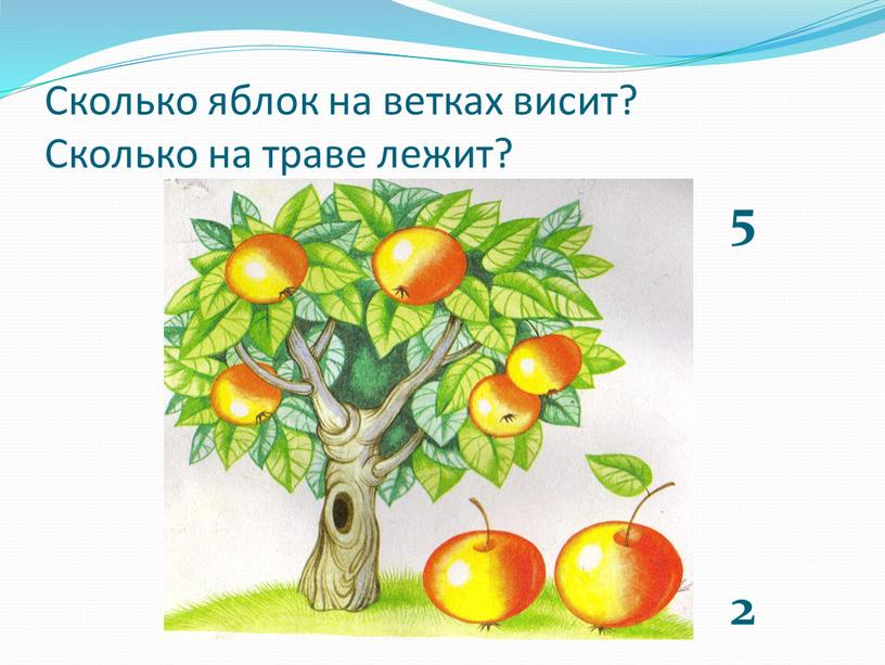 Сколько яблок на ветках висит?