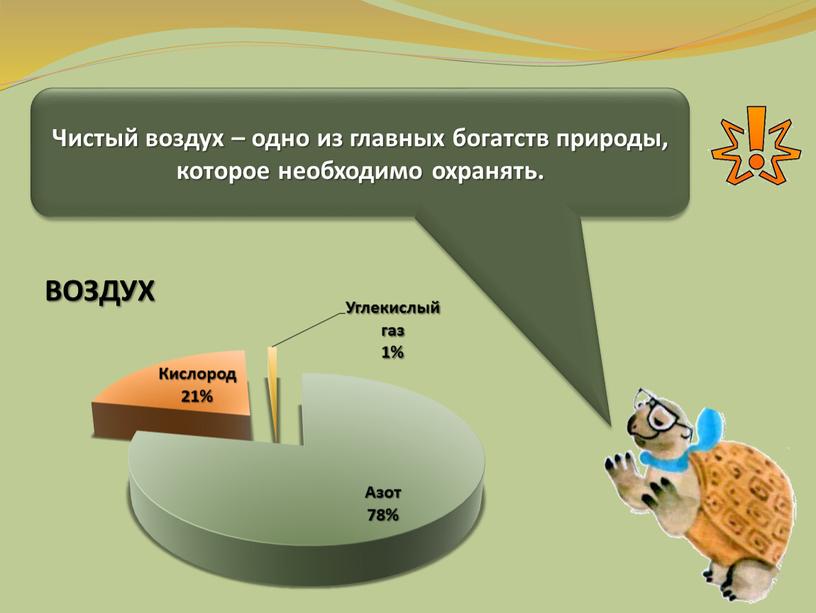 Чистый воздух – одно из главных богатств природы, которое необходимо охранять