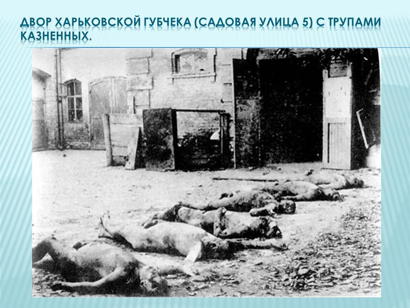 Двор харьковской губчека (Садовая улица 5) с трупами казненных