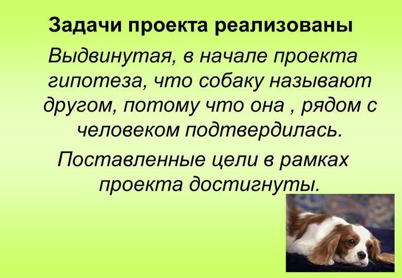 Задачи проекта реализованы Выдвинутая, в начале проекта гипотеза, что собаку называют другом, потому что она , рядом с человеком подтвердилась