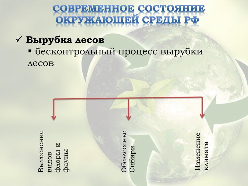 Современное состояние окружающей среды