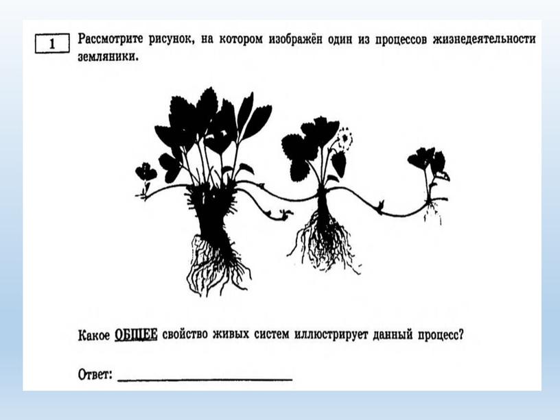 Разбор заданий №1 ОГЭ биология из сборника В.С.Рохлова