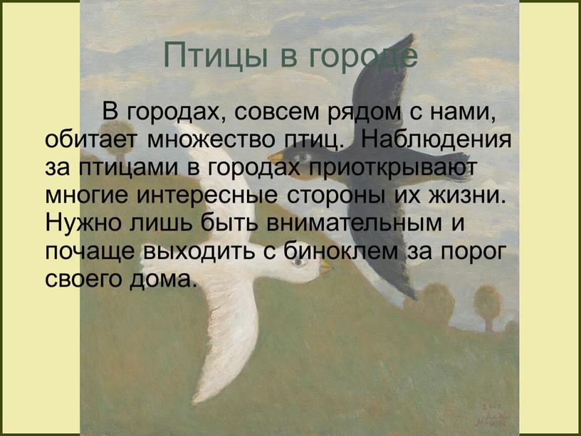 Птицы в городе В городах, совсем рядом с нами, обитает множество птиц