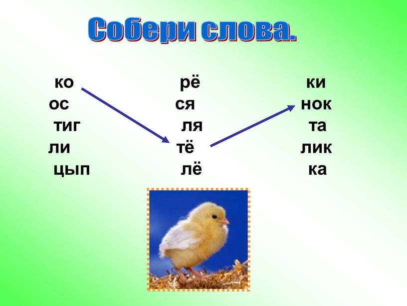 Собери слова. ко рё ки ос ся нок тиг ля та ли тё лик цып лё ка