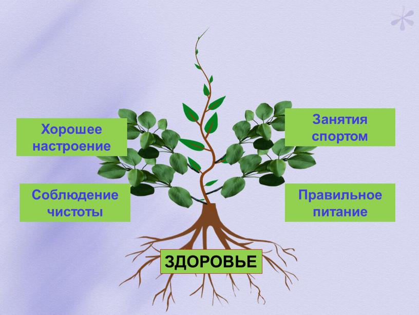 Соблюдение чистоты Правильное питание