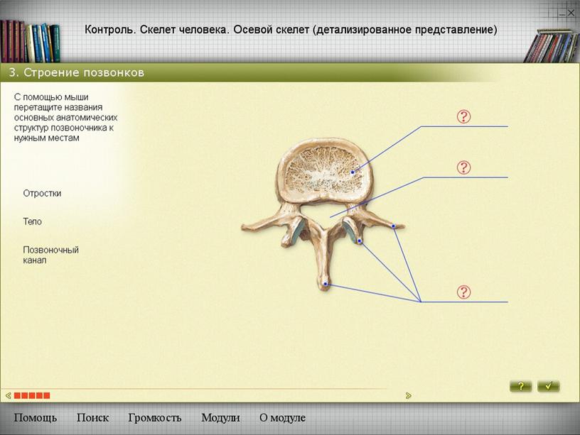 Методы развития познавательной деятельности учащихся