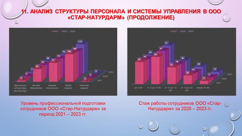 Анализ структуры персонала и системы управления в