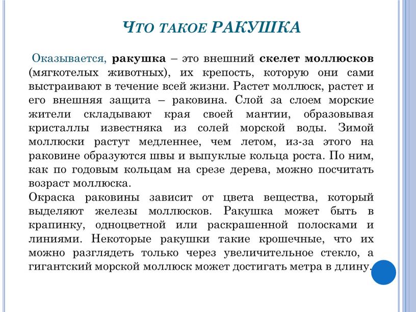 Что такое РАКУШКА Оказывается, ракушка – это внешний скелет моллюсков (мягкотелых животных), их крепость, которую они сами выстраивают в течение всей жизни