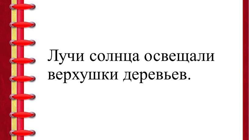 Лучи солнца освещали верхушки деревьев