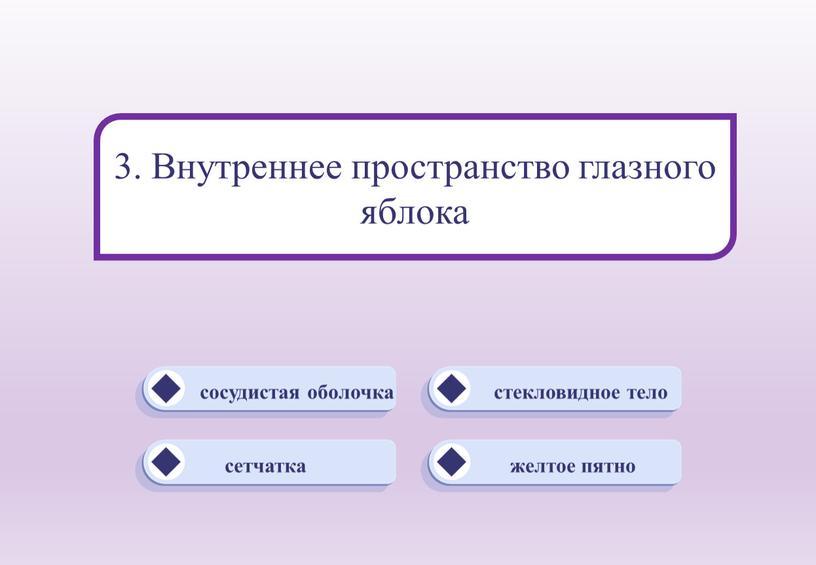 Внутреннее пространство глазного яблока