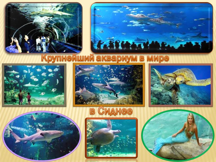 Крупнейший аквариум в мире в