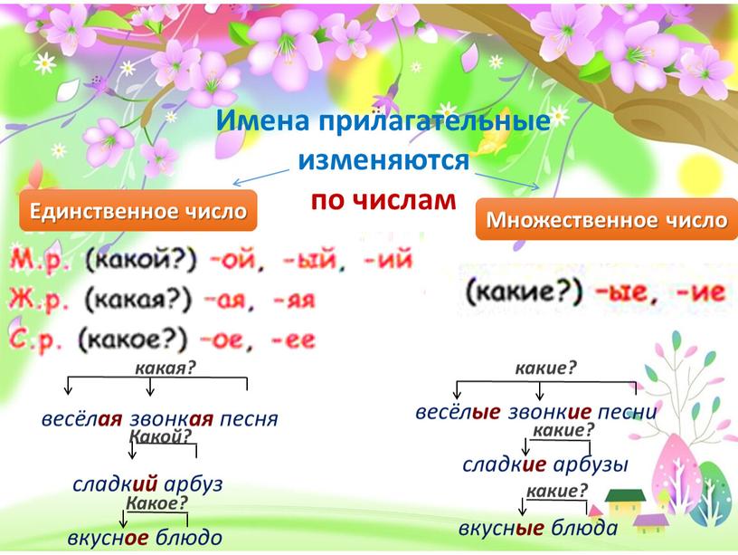 Имена прилагательные изменяются по числам